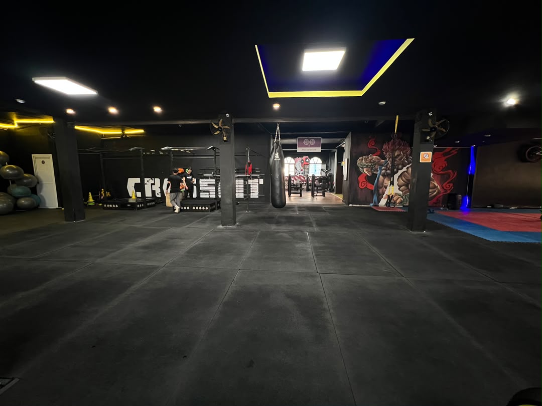 Gallery 2