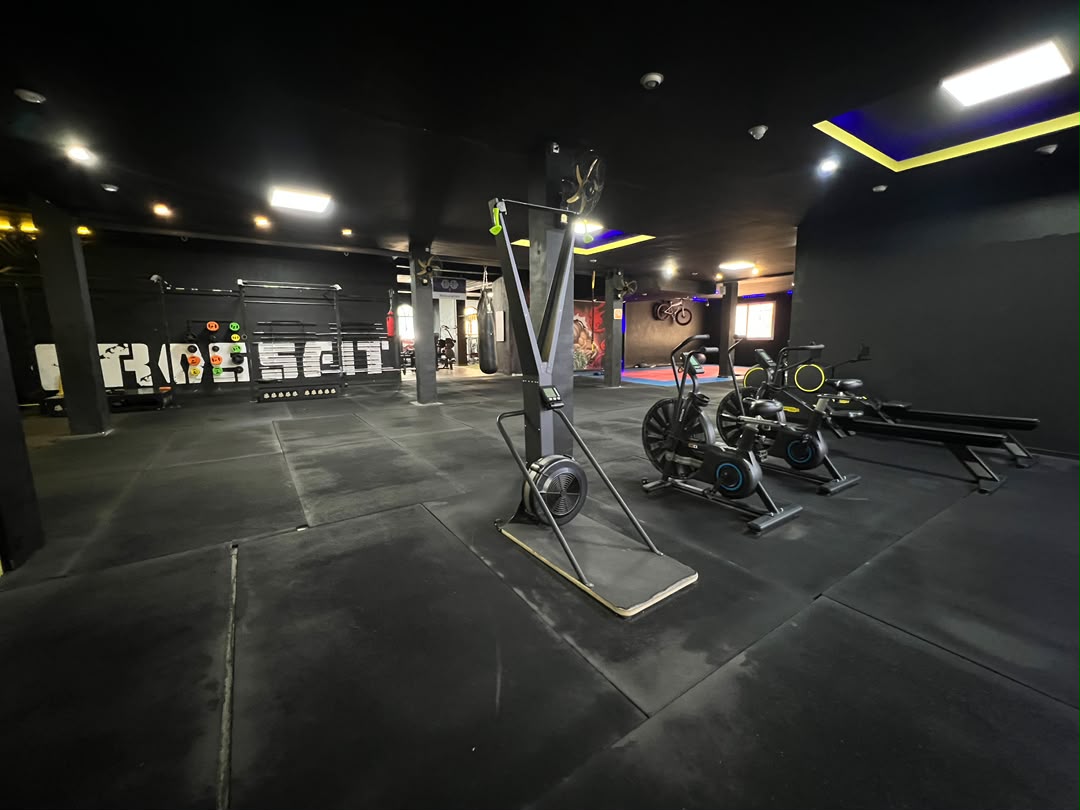 Gallery 4